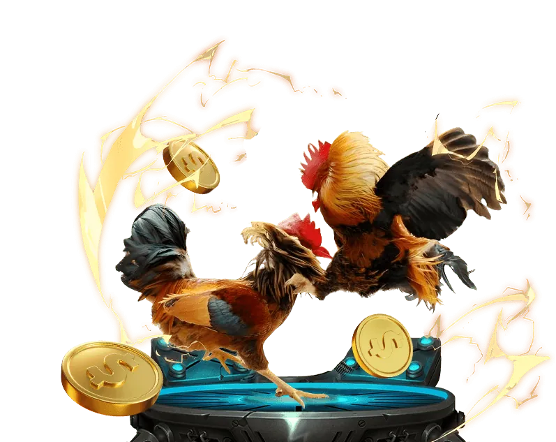 Sảnh đá gà trực tuyến chuyên nghiệp